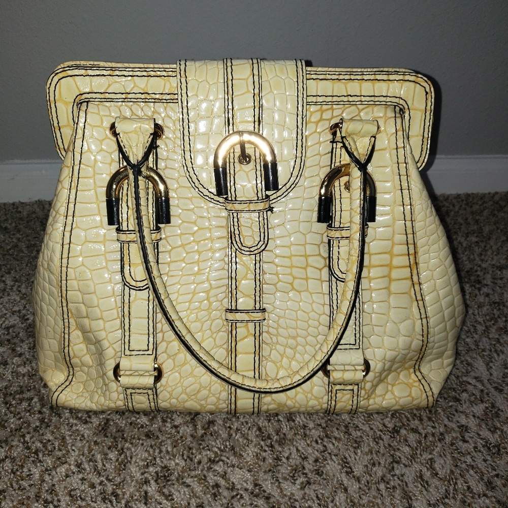 Badgley  mischka handbag